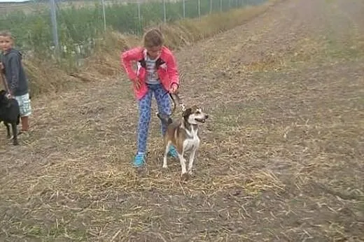 Nuka młoda sunia szuka miłosci!!!,  łódzkie Łódź