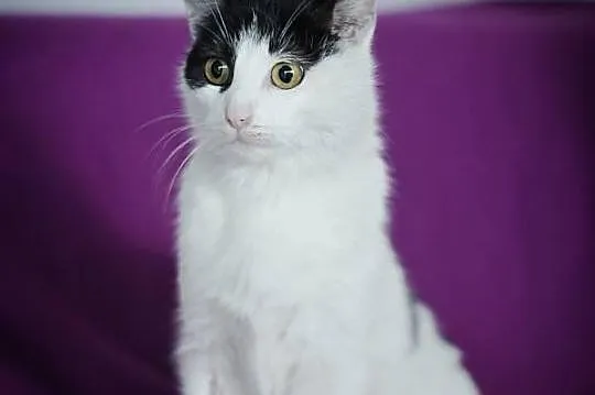 Lusia kocha ludzi. Kto pokocha ją na zawsze?