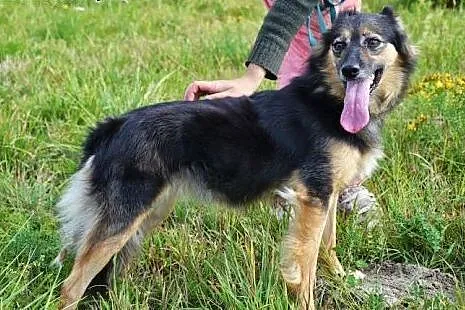 Czy zdarzy się cud i ktoś adoptuje dwie przyjaciół