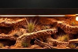 Terrarium pustynne dla gekona lamparciego żółwia greckiego