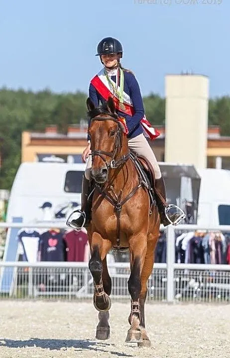 KOŃ DO SPORTU PROFESOR, ,