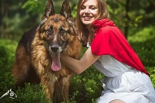 Bartek- przepiekny owczarek -szuka domu,  mazowiec