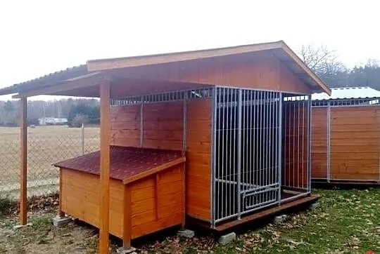 kojec boks zagroda dla psa Walton, Łódzkie, Skierniewice