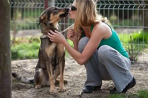 3-letni Tobi - nie przeocz takiego skarbu :),  maz