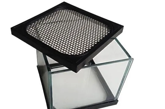 TRANSGLASS - TERRARIUM 12X11.5X11.5 - PRODUCENT