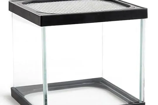 TRANSGLASS - TERRARIUM 12X11.5X11.5 - PRODUCENT, Śląskie, Dąbrowa Górnicza
