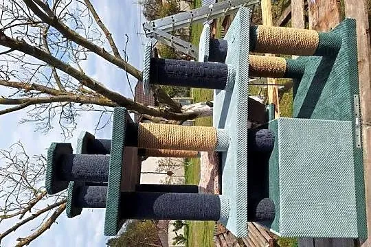 Drapak dla kota XXL, Łódzkie, Wieruszów