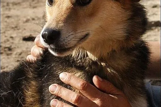 MEGI - sunia, która znów chce zaufać!,  mazowieckie Warszawa