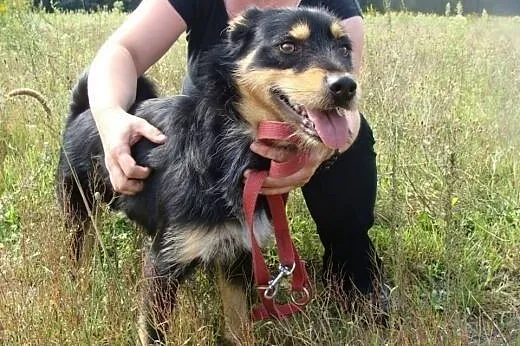 Hakerek za dom odda wszystko co ma... a ma niewiel