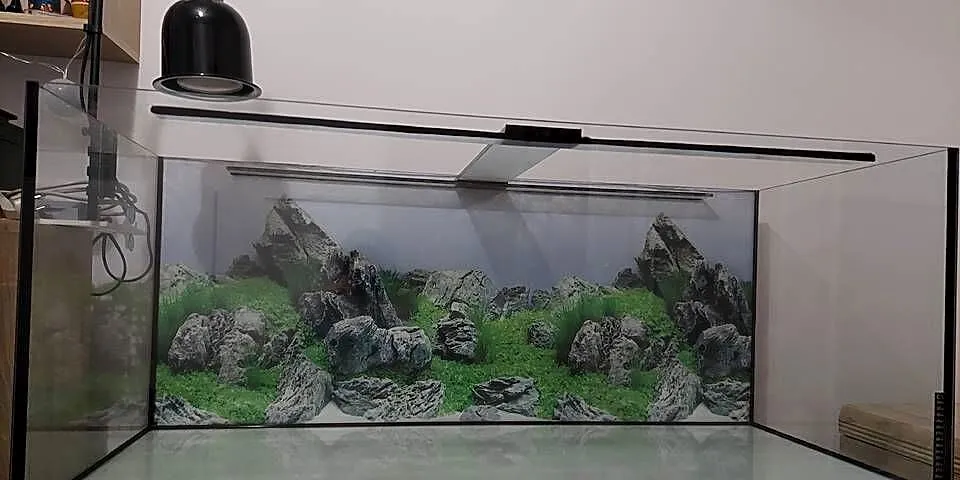 Akwarium 300l 120x50x50 w Dobrym stanie Szczelne + mata + tło, Mazowieckie, Legionowo