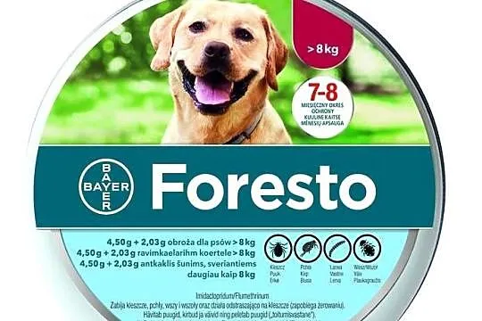 FORESTO, Mazowieckie, Warszawa