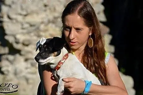 Puzel w typie jack russel terrier szuka domku!!!, 