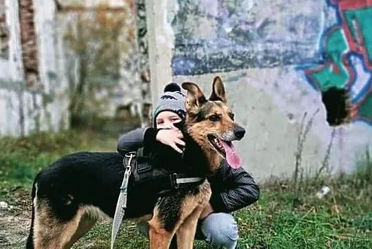 Azalia nadal bez domu...., Mazowieckie, Warszawa