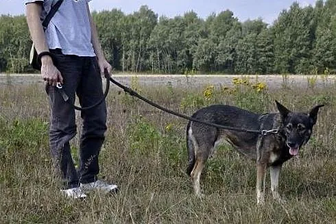 Sonia-uratowana z pijackiej meliny. Dziś ufnie pat