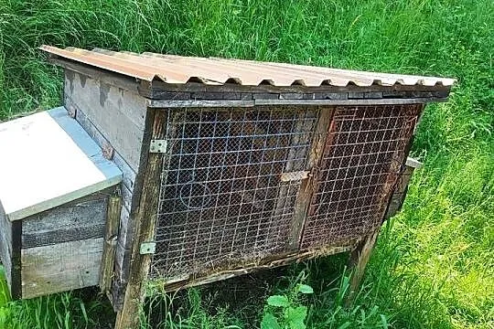 Klatki dla królików, Podkarpackie, Jasło
