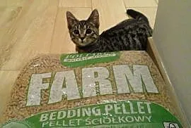 Pellet. Żwirek FARM. Wysyłka. Dostawa. Raty 0%