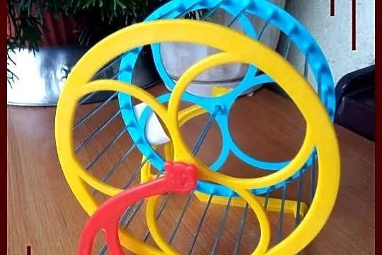Nowy kołowrotek dla chomika karłowatego 13cm - niebieski, Śląskie, Ruda Śląska