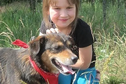 Dzieciolubna Nuka, mała sunia z wielkim sercem do 