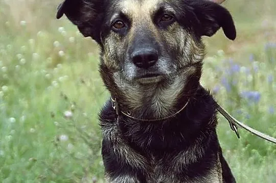 MANIA...Sunia, która nie ma wad...Gdzie jej dom?...