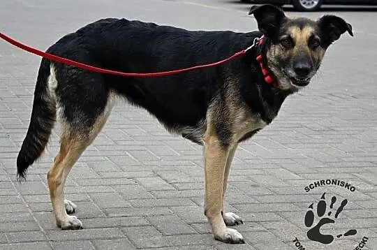 MANIA...Sunia, która nie ma wad...Gdzie jej dom?..