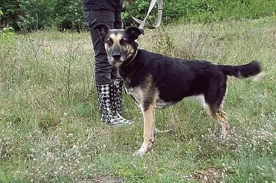 MANIA...Sunia, która nie ma wad...Gdzie jej dom?..