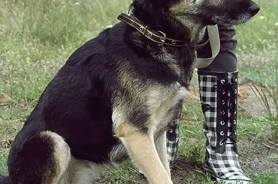 MANIA...Sunia, która nie ma wad...Gdzie jej dom?..