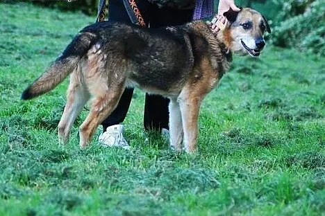 Rufus - za dużo,żeby umrzeć, za mało,żeby żyć - ps