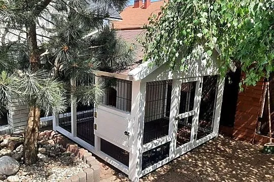 Kojec dla psa z budą, Małopolskie, Jordanów