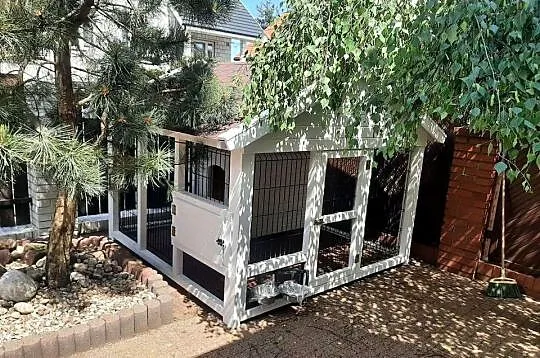 Kojec dla psa z budą, Małopolskie, Jordanów