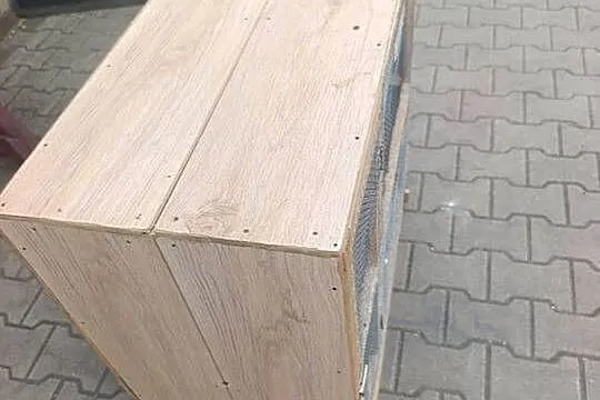 Klatka dla ptaków, papug, Wielkopolskie, Książ Wielkopolski