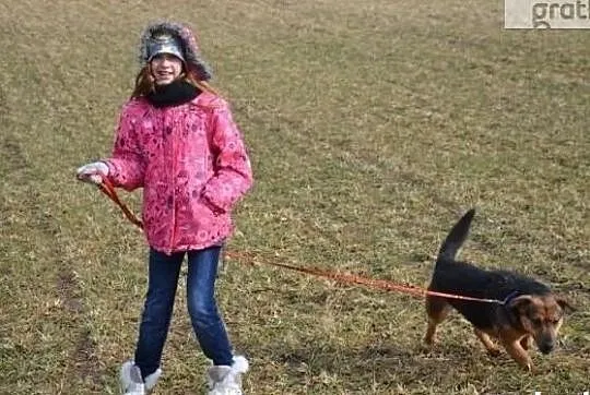 Bardzo mądra i grzeczna sunia szuka pilnie dobrego domu