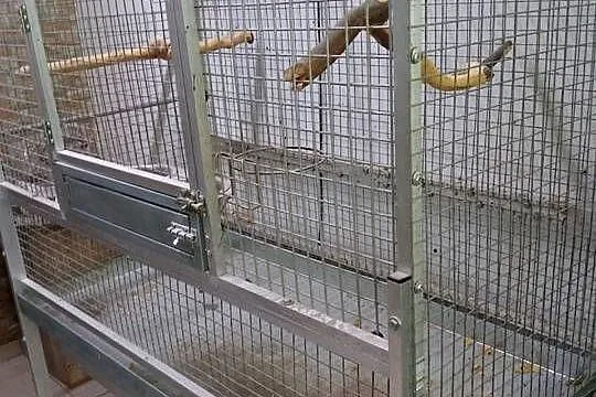 Sprzedam klatkę -Woliere dla ptaków, Dolnośląskie, Świdnica