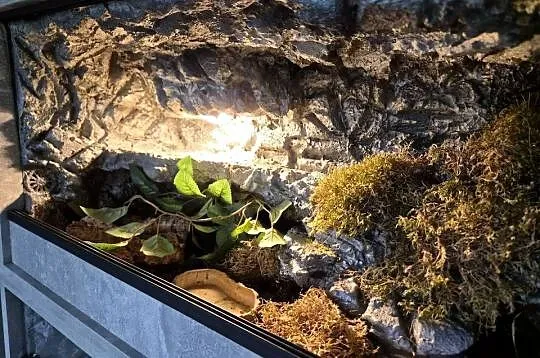 Terraria plyta meblowa diversa, Świętokrzyskie, Sędziszów