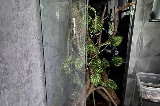 Terraria plyta meblowa diversa, Świętokrzyskie, Sędziszów