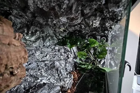 Terraria plyta meblowa diversa, Świętokrzyskie, Sędziszów