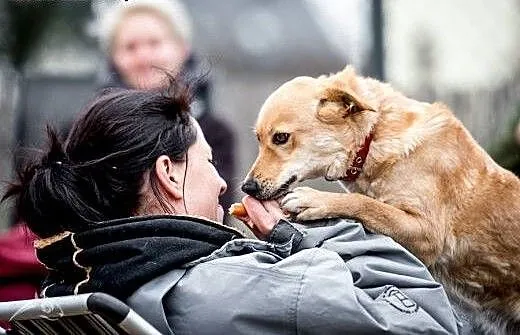 Spokojny człowieku miłości nie wekuj BALBINKA czek