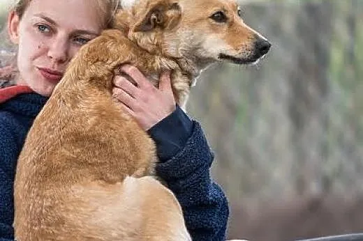Spokojny człowieku miłości nie wekuj BALBINKA czek