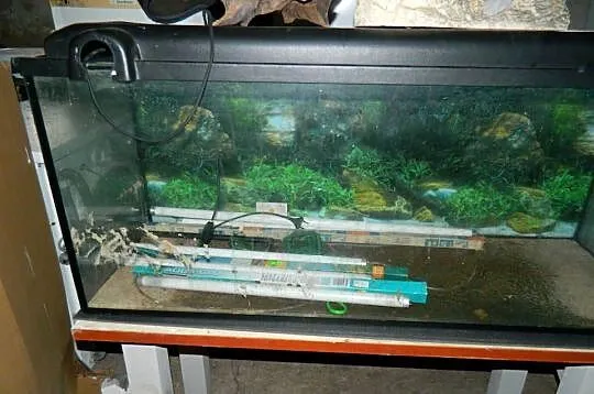 SPRZEDAM AKWARIUM 240L WRAZ Z AKCESORIAMI TO CO NA ZDJĘCIU, Łódzkie, Biała