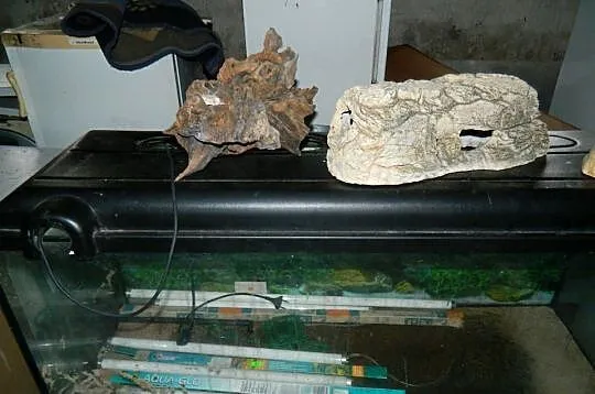 SPRZEDAM AKWARIUM 240L WRAZ Z AKCESORIAMI TO CO NA ZDJĘCIU, Łódzkie, Biała