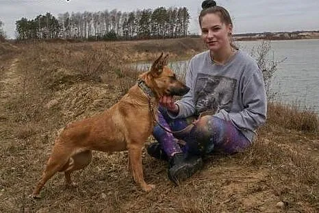FRYGA  ruda suczka  nadal czeka na dom,  mazowieck