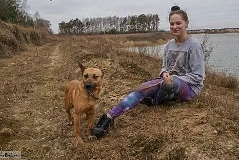 FRYGA  ruda suczka  nadal czeka na dom,  mazowieck