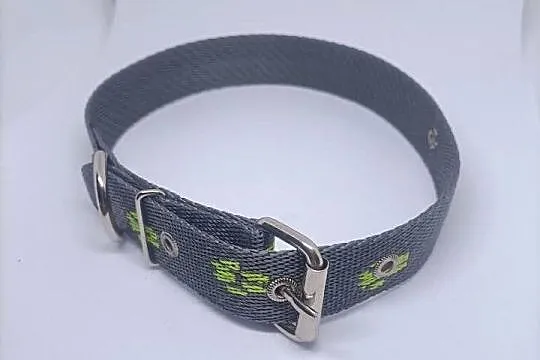 Obroża dla psa 25mm/80cm, Lubuskie, Gorzów Wielkopolski
