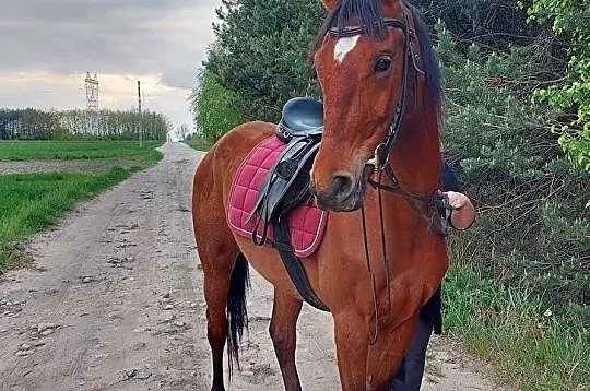 TRENINGI dla osób które wierzą, że kluczem do sukc