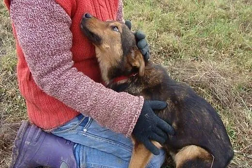 Dorek - delikatny i młodziutki czeka na swojego cz