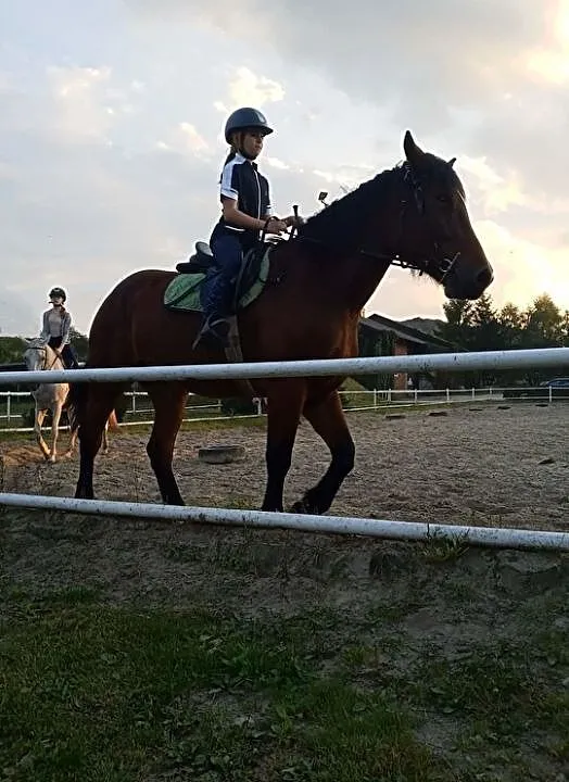 Heidi - typ pogrubiany, , Rzepedź