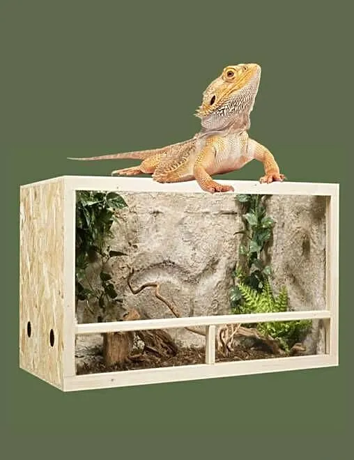 Terrarium z płyty OSB 120x80x80 cm, Wielkopolskie, Pięczkowo