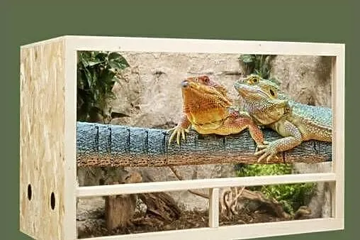 Terrarium z płyty OSB 120x80x80 cm, Wielkopolskie, Pięczkowo