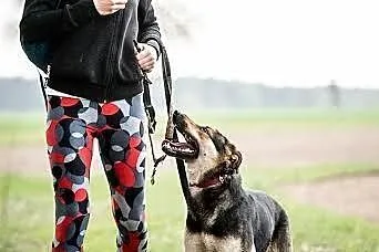SARA - pokochaj mądrą dziewczynkę!,  mazowieckie W