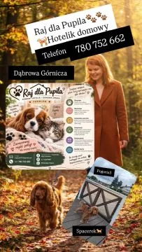  listing, , Dąbrowa Górnicza