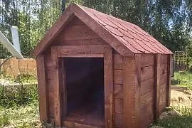 Budy dla psów